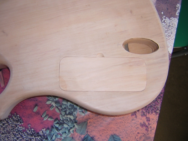 le couvercle de la cavité électro.JPG